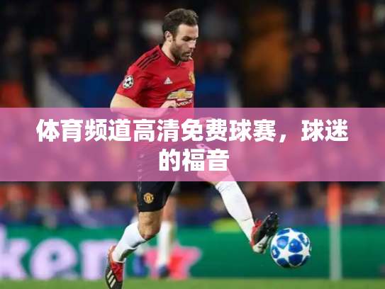 体育频道高清免费球赛，球迷的福音