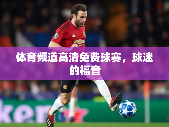 体育频道高清免费球赛，球迷的福音