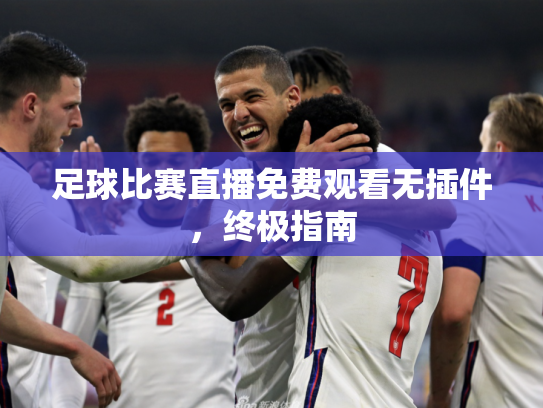 足球比赛直播免费观看无插件，终极指南