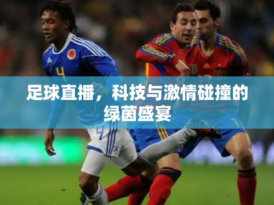 足球直播，科技与激情碰撞的绿茵盛宴