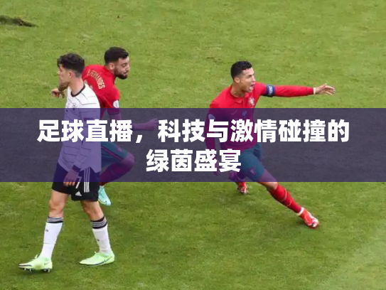 足球直播，科技与激情碰撞的绿茵盛宴