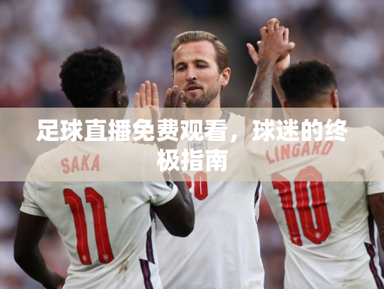 足球直播免费观看，球迷的终极指南
