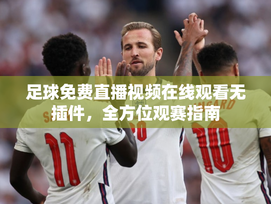 足球免费直播视频在线观看无插件，全方位观赛指南