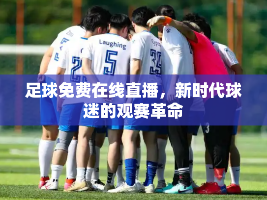 足球免费在线直播，新时代球迷的观赛革命