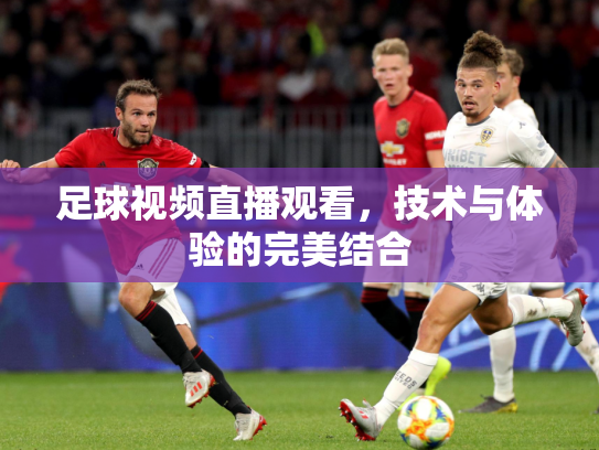 足球视频直播观看，技术与体验的完美结合