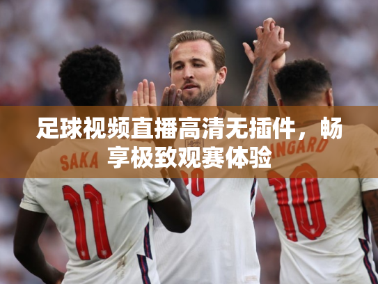 足球视频直播高清无插件，畅享极致观赛体验