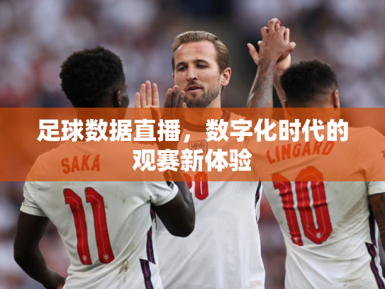 足球数据直播，数字化时代的观赛新体验