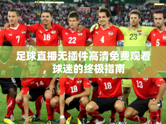 足球直播无插件高清免费观看，球迷的终极指南