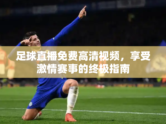 足球直播免费高清视频，享受激情赛事的终极指南