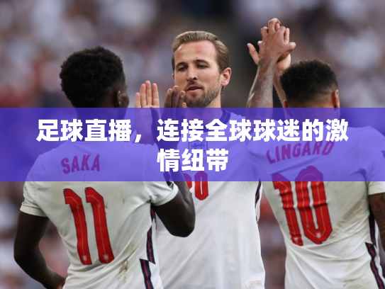 足球直播，连接全球球迷的激情纽带