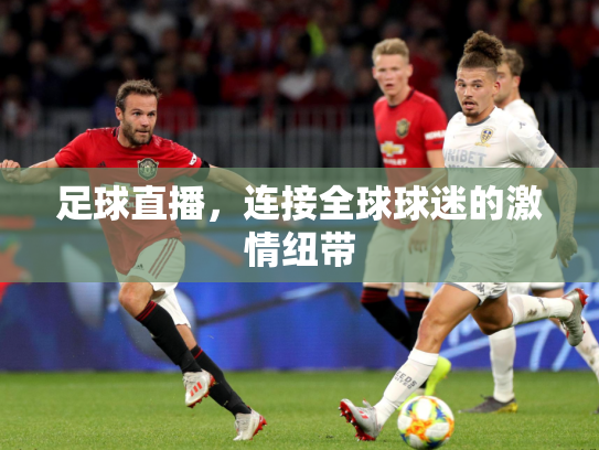 足球直播，连接全球球迷的激情纽带
