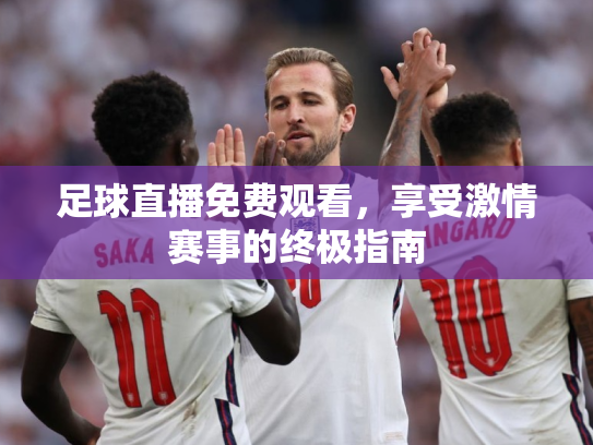 足球直播免费观看，享受激情赛事的终极指南
