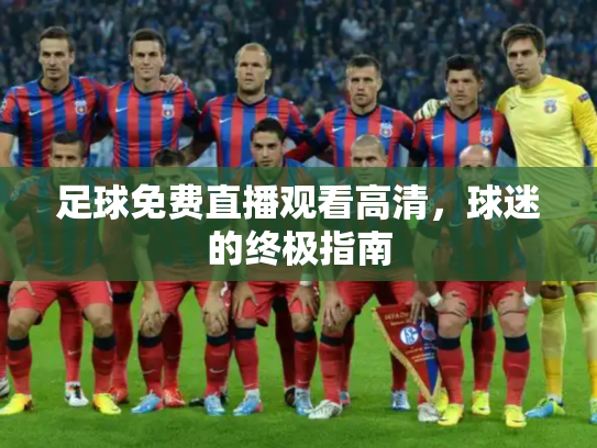 足球免费直播观看高清，球迷的终极指南
