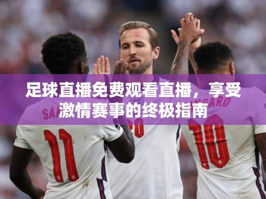 足球直播免费观看直播，享受激情赛事的终极指南