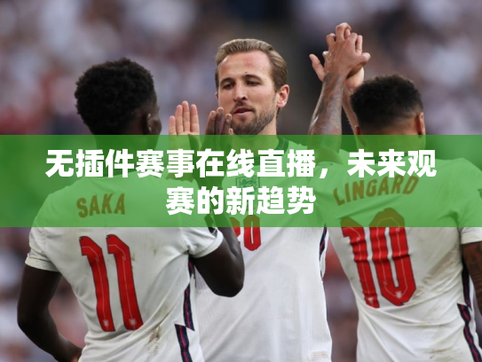 无插件赛事在线直播，未来观赛的新趋势