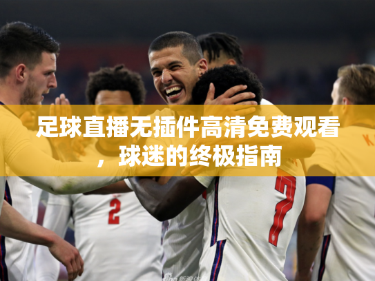 足球直播无插件高清免费观看，球迷的终极指南