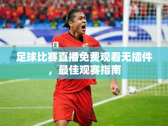 足球比赛直播免费观看无插件，最佳观赛指南