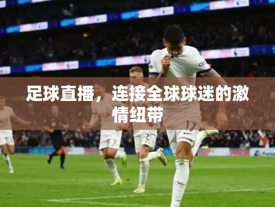 足球直播，连接全球球迷的激情纽带