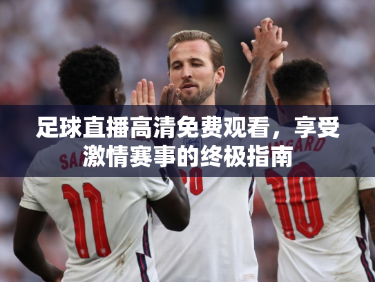 足球直播高清免费观看，享受激情赛事的终极指南