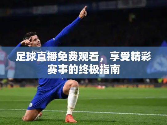 足球直播免费观看，享受精彩赛事的终极指南