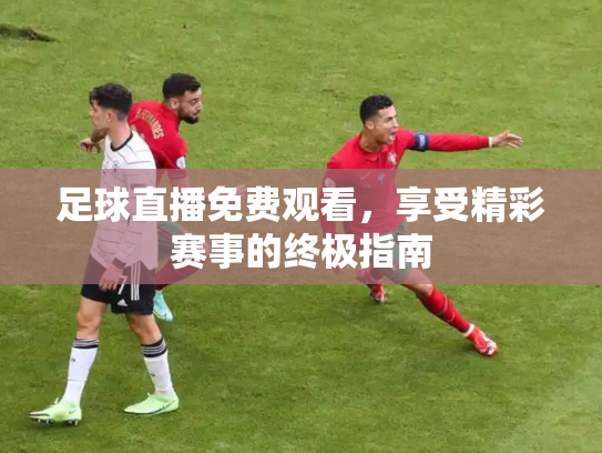 足球直播免费观看，享受精彩赛事的终极指南