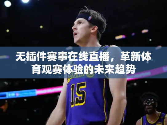 无插件赛事在线直播，革新体育观赛体验的未来趋势