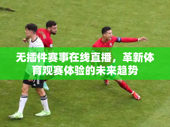 无插件赛事在线直播，革新体育观赛体验的未来趋势