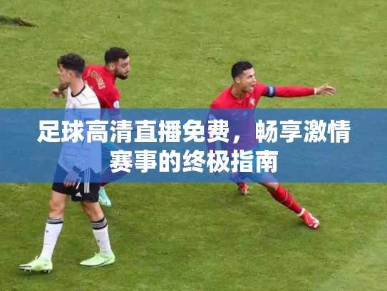 足球高清直播免费，畅享激情赛事的终极指南