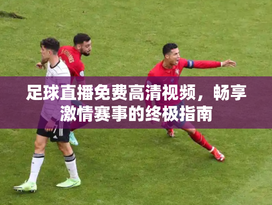 足球直播免费高清视频，畅享激情赛事的终极指南