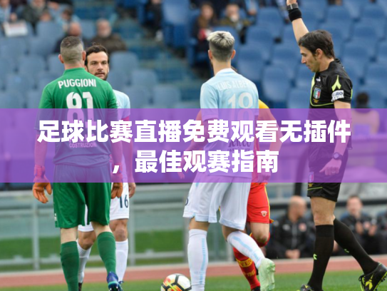 足球比赛直播免费观看无插件，最佳观赛指南