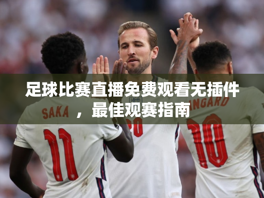 足球比赛直播免费观看无插件，最佳观赛指南