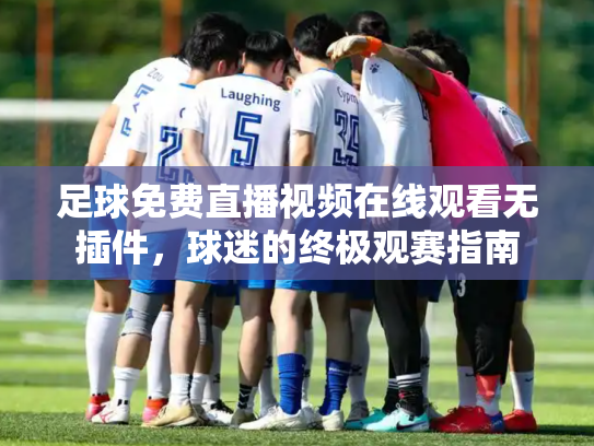 足球免费直播视频在线观看无插件，球迷的终极观赛指南