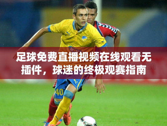 足球免费直播视频在线观看无插件，球迷的终极观赛指南