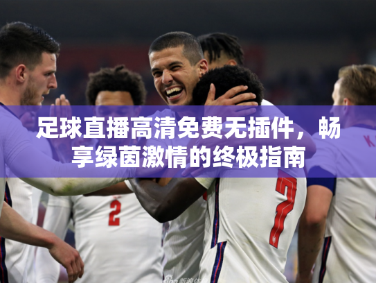 足球直播高清免费无插件，畅享绿茵激情的终极指南