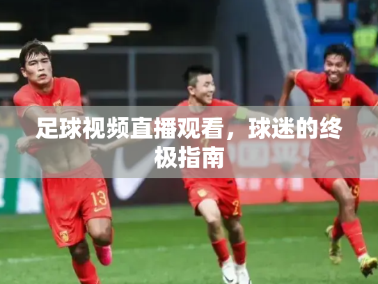 足球视频直播观看，球迷的终极指南