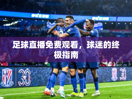 足球直播免费观看，球迷的终极指南
