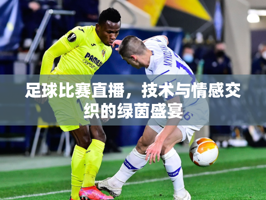 足球比赛直播，技术与情感交织的绿茵盛宴