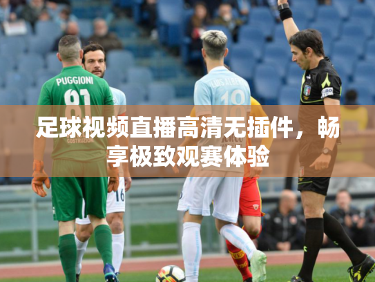 足球视频直播高清无插件，畅享极致观赛体验
