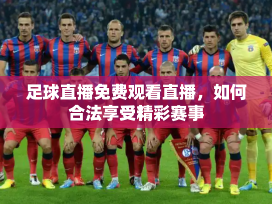足球直播免费观看直播，如何合法享受精彩赛事