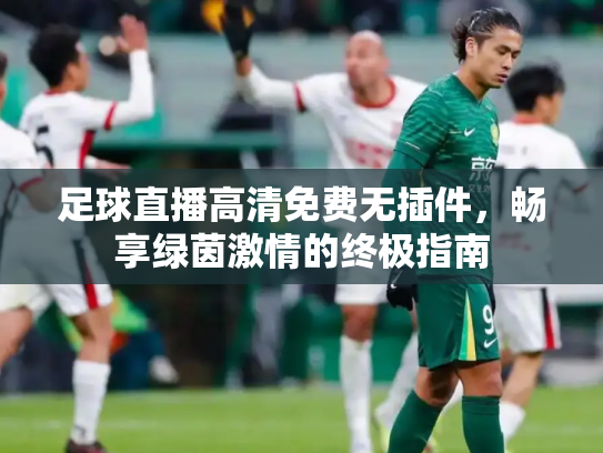 足球直播高清免费无插件，畅享绿茵激情的终极指南