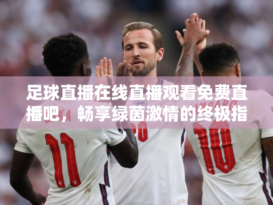 足球直播在线直播观看免费直播吧，畅享绿茵激情的终极指南