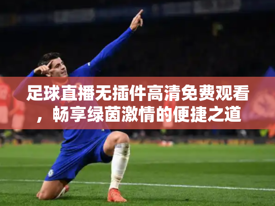 足球直播无插件高清免费观看，畅享绿茵激情的便捷之道