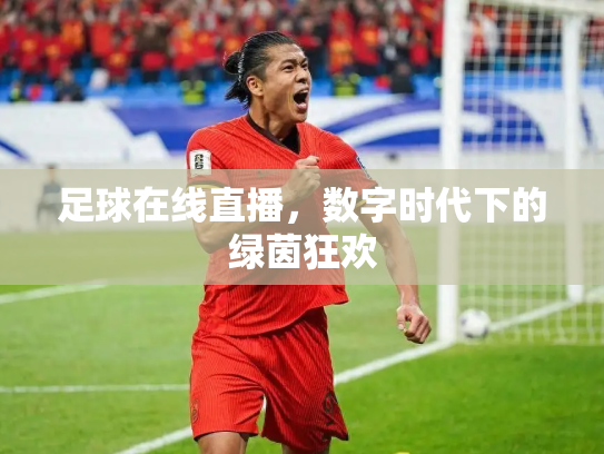 足球在线直播，数字时代下的绿茵狂欢