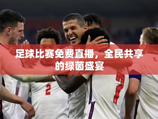 足球比赛免费直播，全民共享的绿茵盛宴