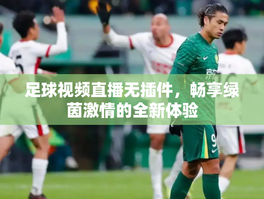 足球视频直播无插件，畅享绿茵激情的全新体验