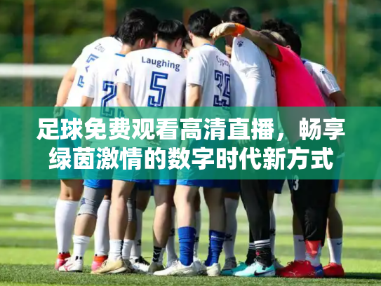足球免费观看高清直播，畅享绿茵激情的数字时代新方式