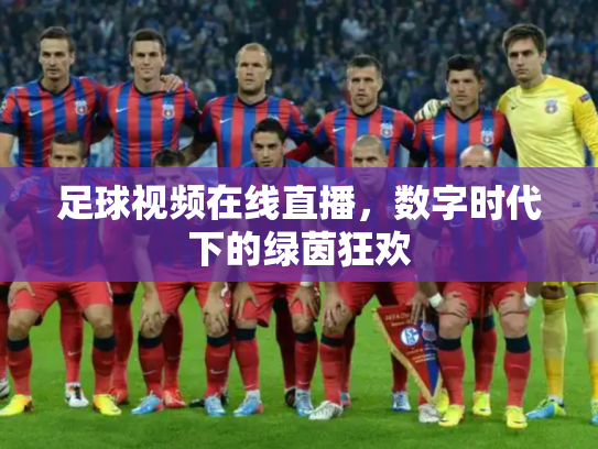足球视频在线直播，数字时代下的绿茵狂欢