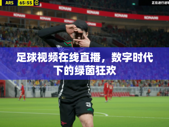 足球视频在线直播，数字时代下的绿茵狂欢