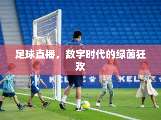 足球直播，数字时代的绿茵狂欢