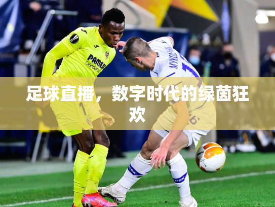 足球直播，数字时代的绿茵狂欢